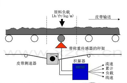 oϙCF(xin)݋II